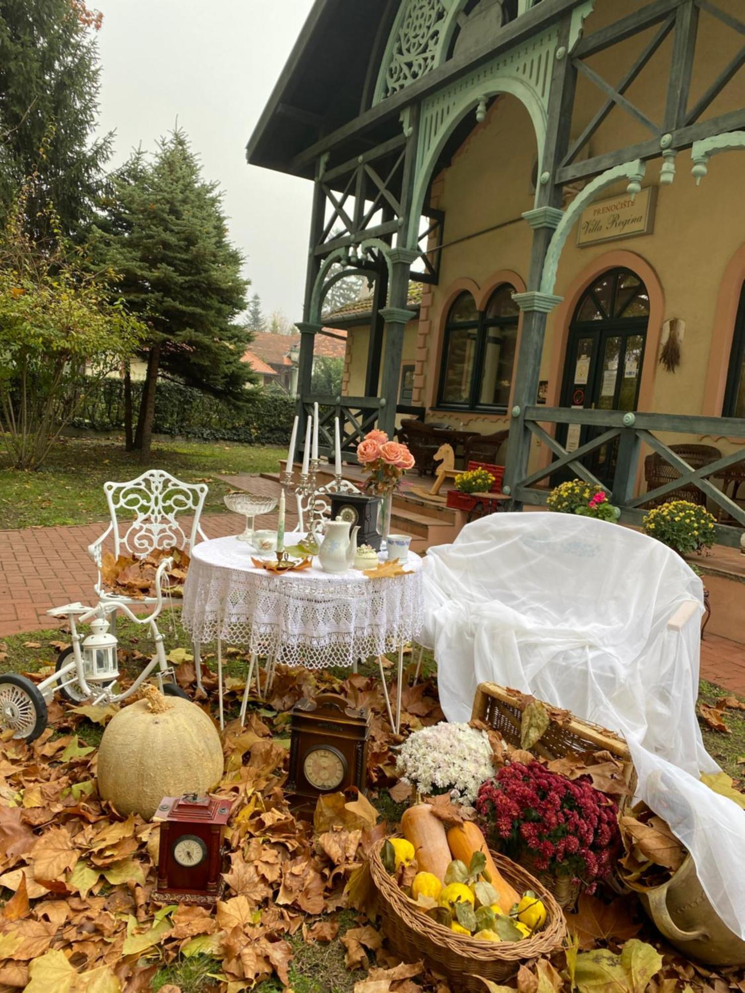Vila Regina Palić Zewnętrze zdjęcie