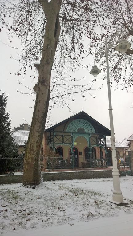 Vila Regina Palić Zewnętrze zdjęcie
